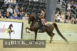24BUCK_07629 proof