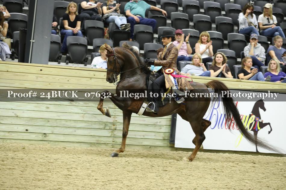 Proof 24BUCK_07632