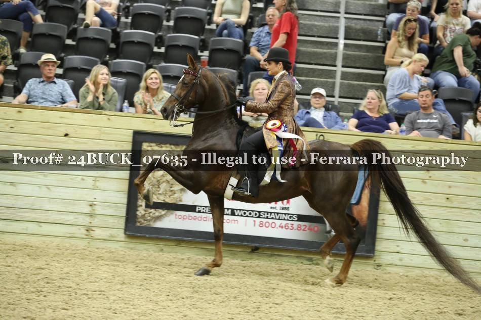 Proof 24BUCK_07635