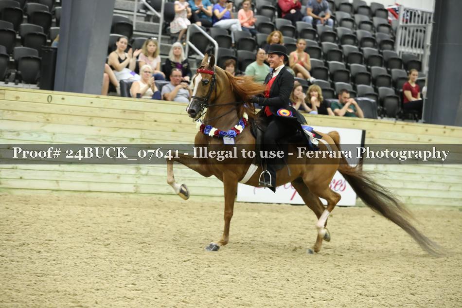 Proof 24BUCK_07641