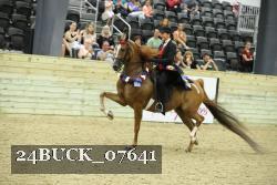 24BUCK_07641 proof