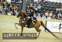 24BUCK_07642 proof