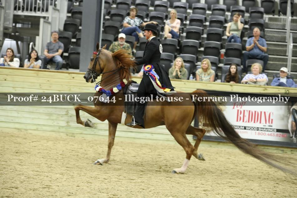 Proof 24BUCK_07644