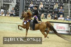 24BUCK_07644 proof