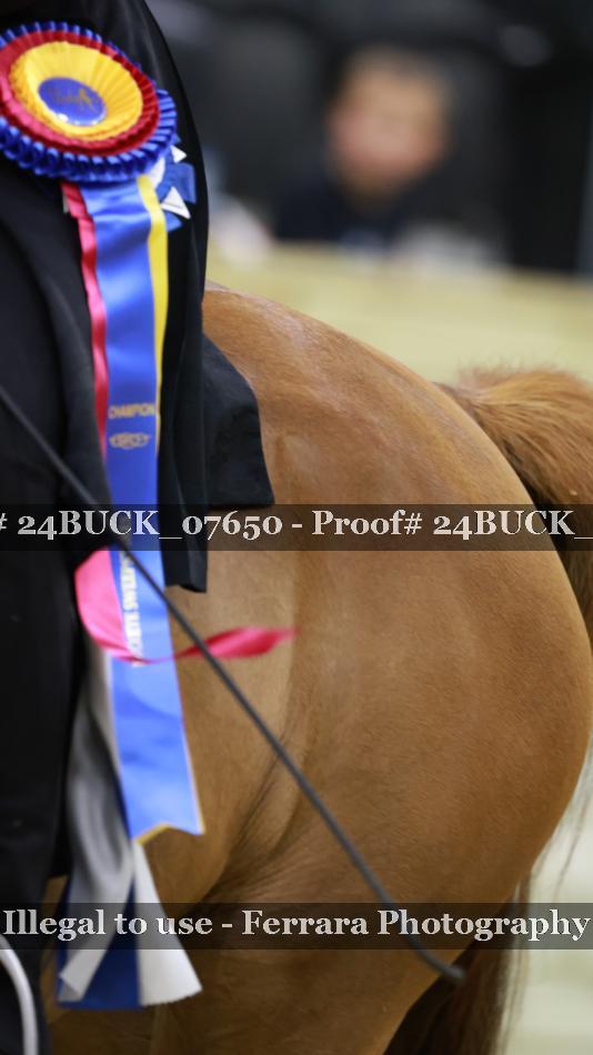 Proof 24BUCK_07650