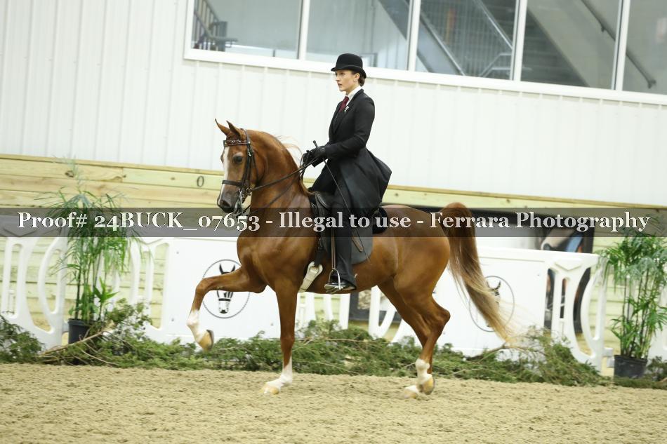 Proof 24BUCK_07653