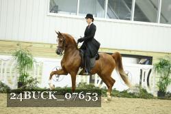 24BUCK_07653 proof