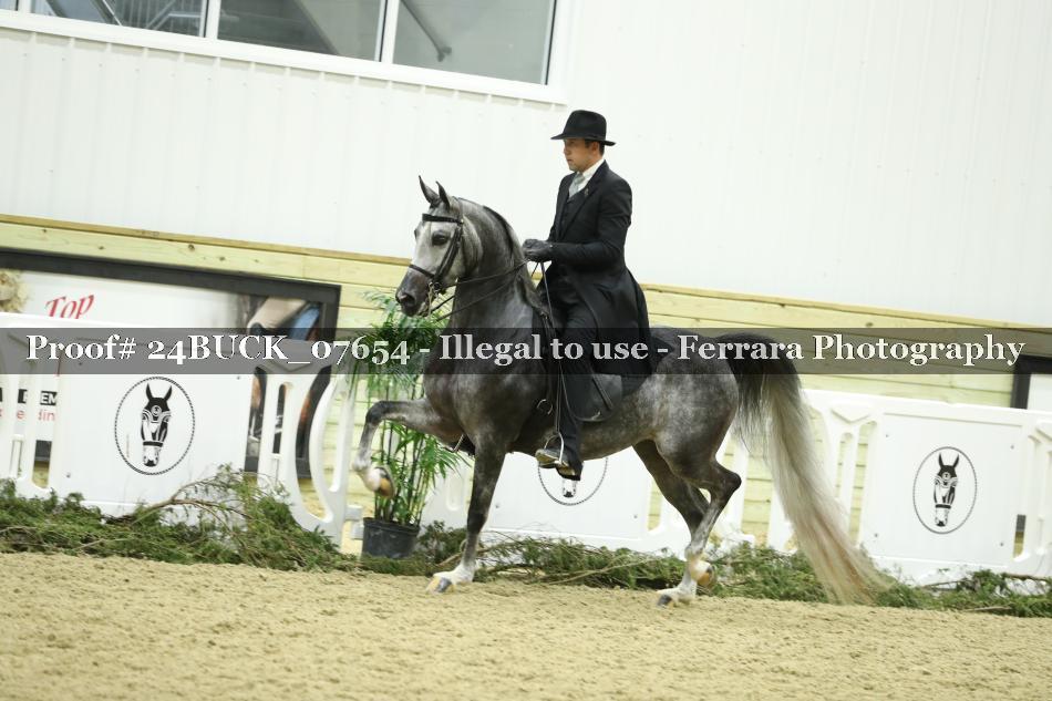 Proof 24BUCK_07654