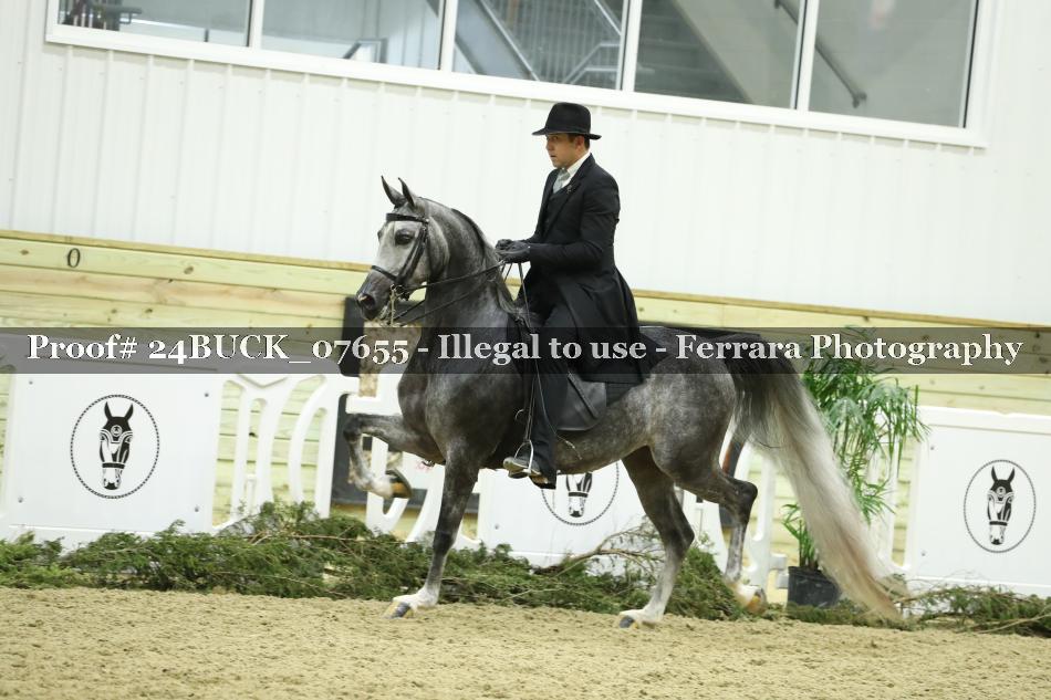 Proof 24BUCK_07655