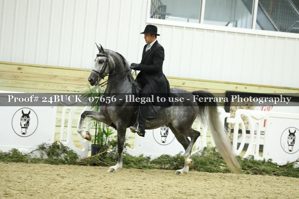 Proof 24BUCK_07656