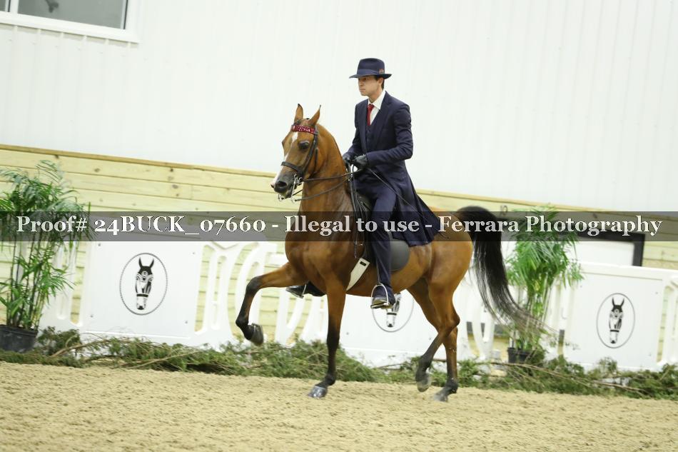 Proof 24BUCK_07660