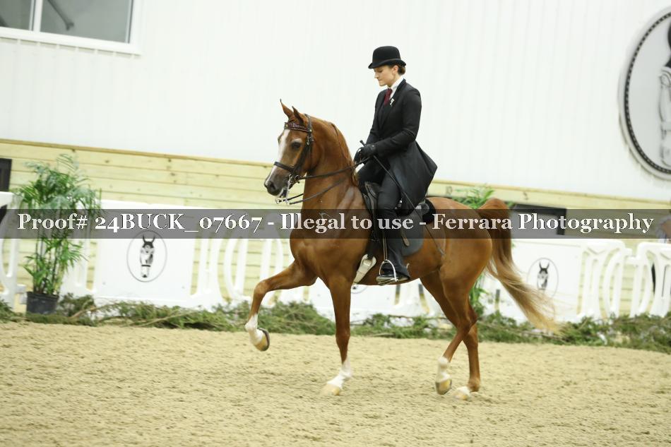 Proof 24BUCK_07667