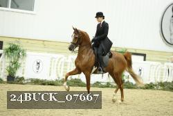 24BUCK_07667 proof