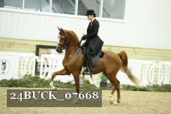 24BUCK_07668 proof