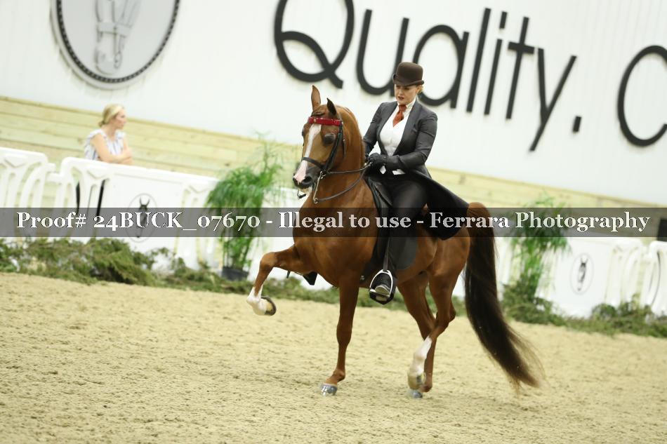 Proof 24BUCK_07670