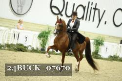 24BUCK_07670 proof