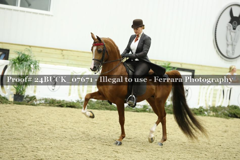 Proof 24BUCK_07671