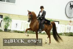 24BUCK_07671 proof