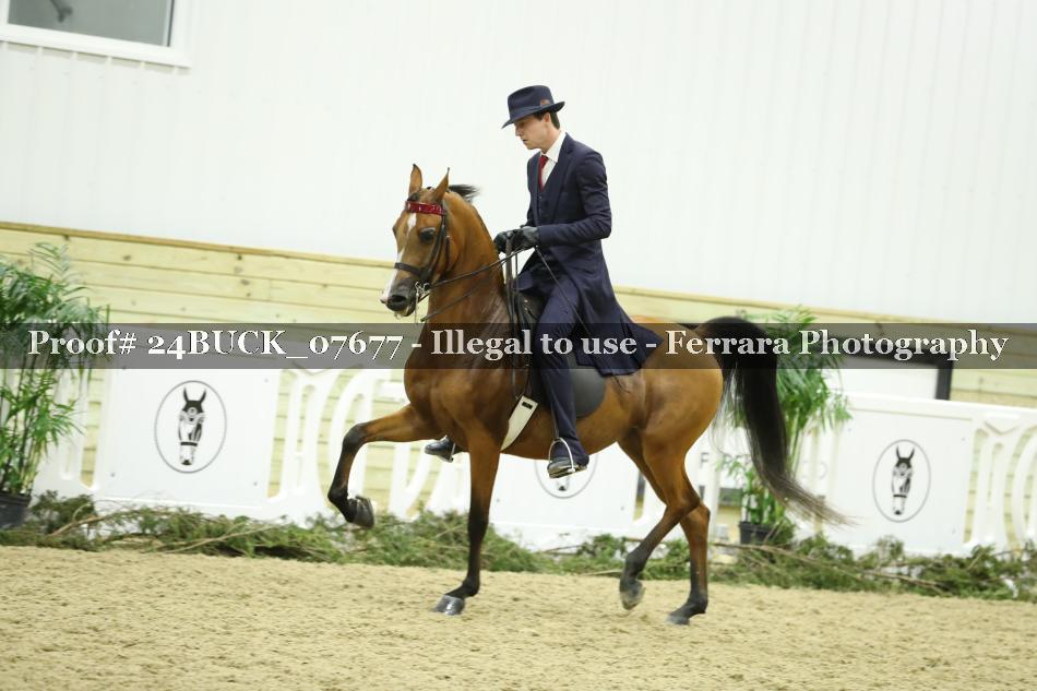 Proof 24BUCK_07677