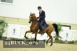 24BUCK_07677 proof