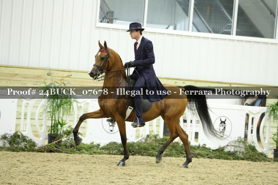 Proof 24BUCK_07678