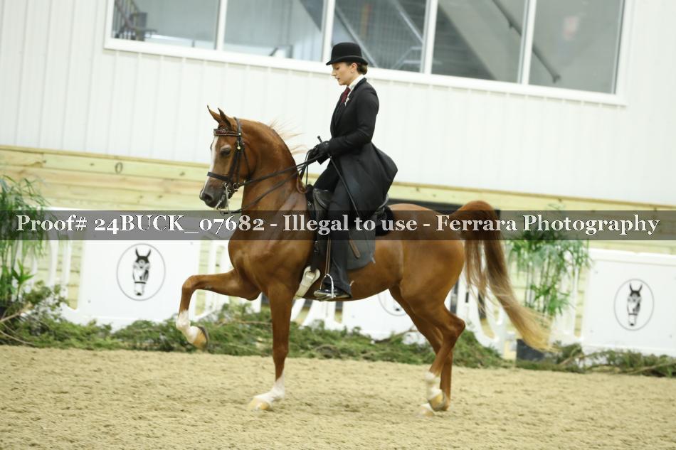 Proof 24BUCK_07682
