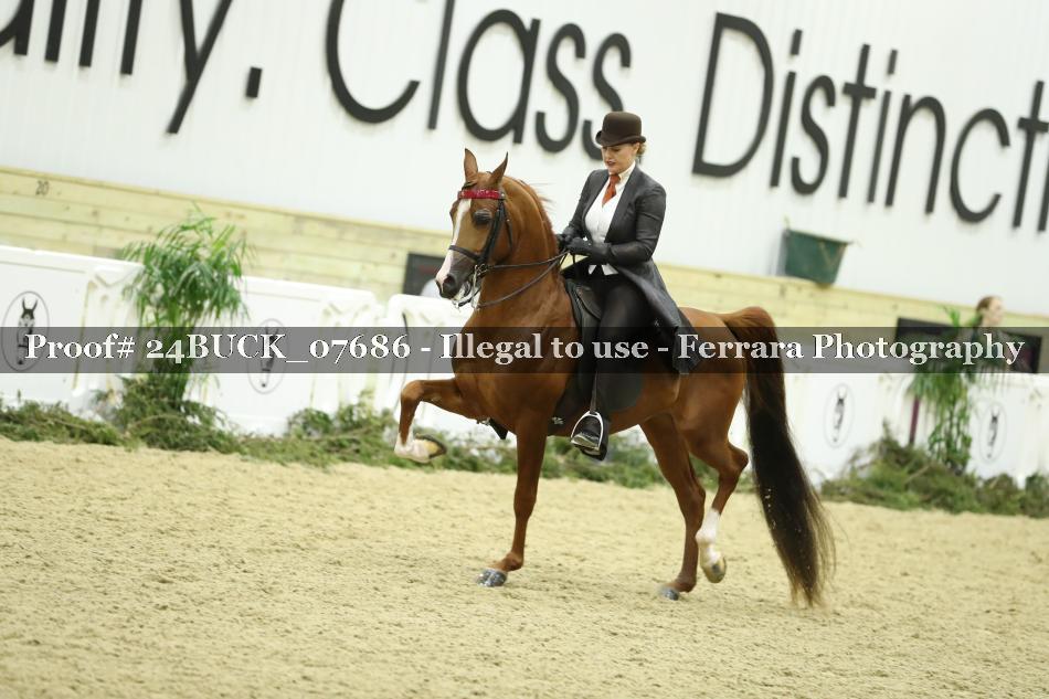 Proof 24BUCK_07686