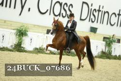 24BUCK_07686 proof