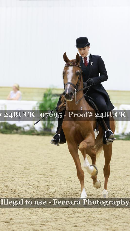 Proof 24BUCK_07695