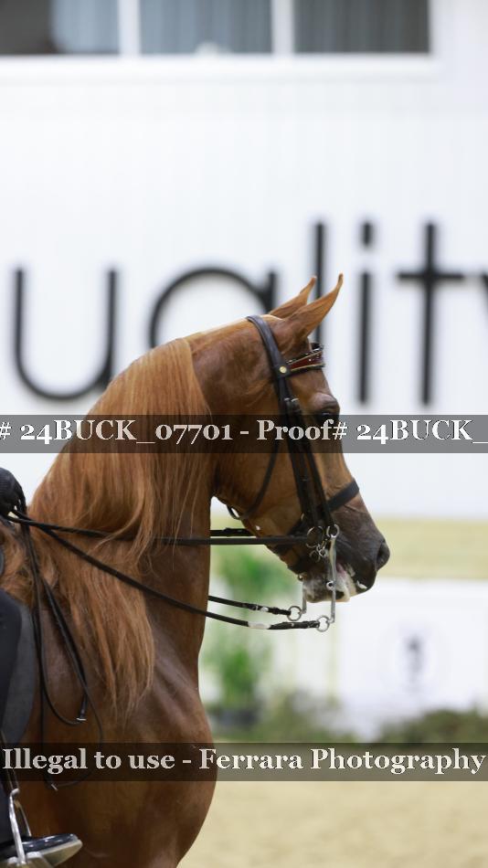 Proof 24BUCK_07701