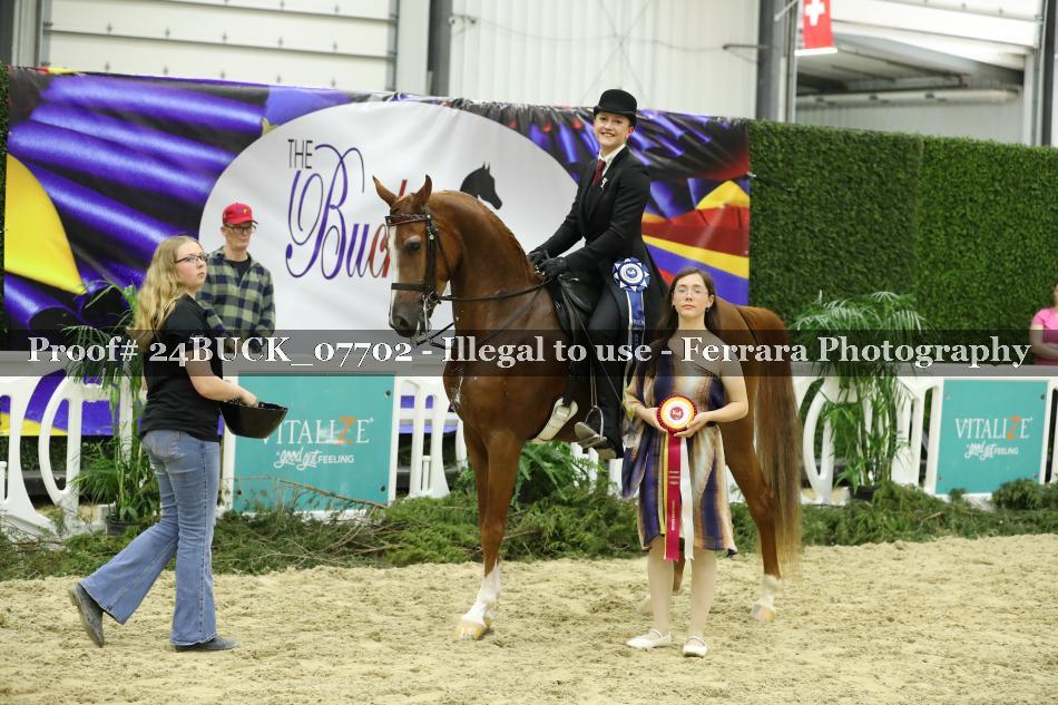 Proof 24BUCK_07702