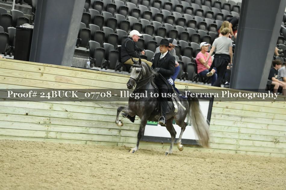 Proof 24BUCK_07708