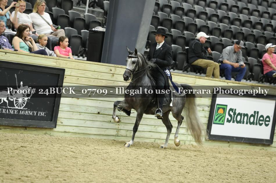 Proof 24BUCK_07709