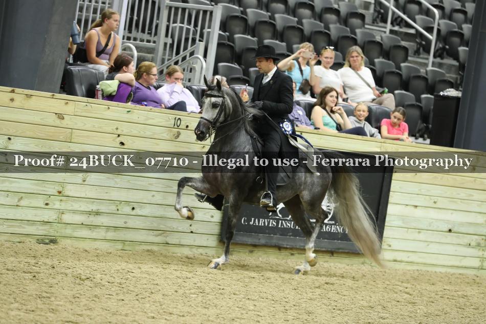 Proof 24BUCK_07710