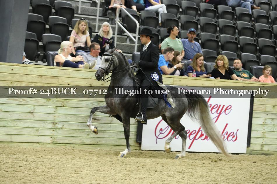 Proof 24BUCK_07712