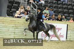 24BUCK_07712 proof