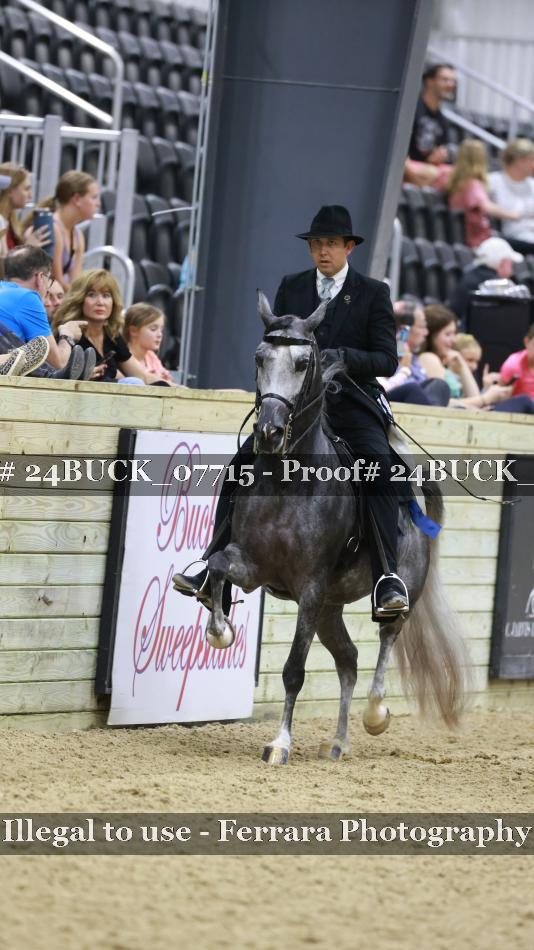 Proof 24BUCK_07715