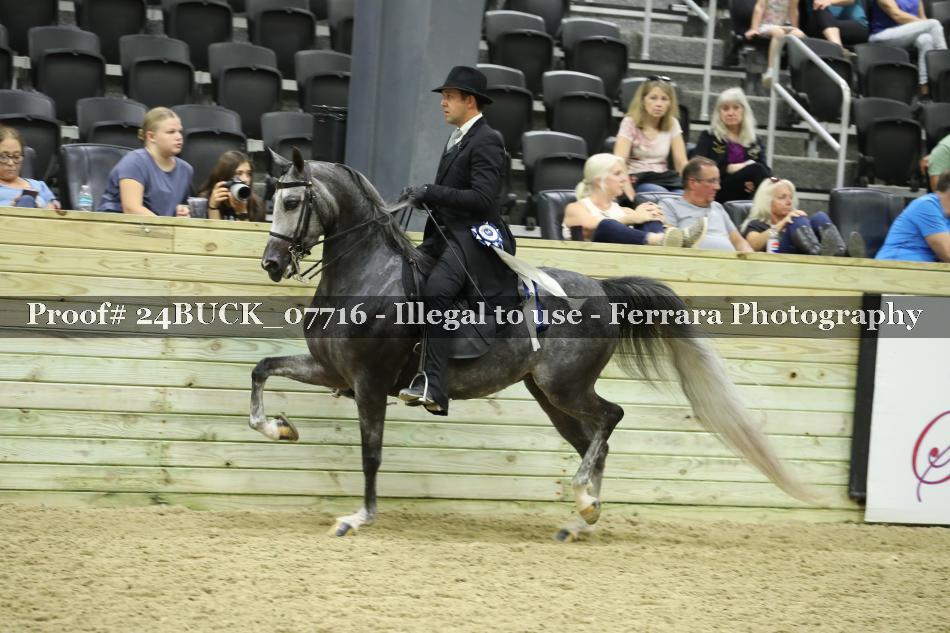 Proof 24BUCK_07716