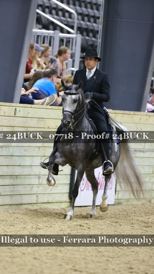 Proof 24BUCK_07718
