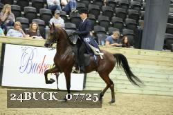 24BUCK_07725 proof