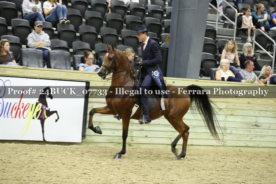 Proof 24BUCK_07733