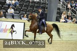 24BUCK_07733 proof