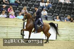 24BUCK_07734 proof
