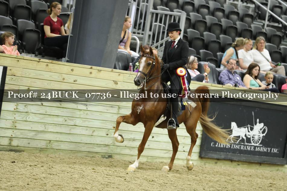 Proof 24BUCK_07736