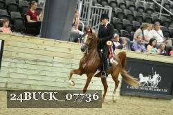 24BUCK_07736 proof