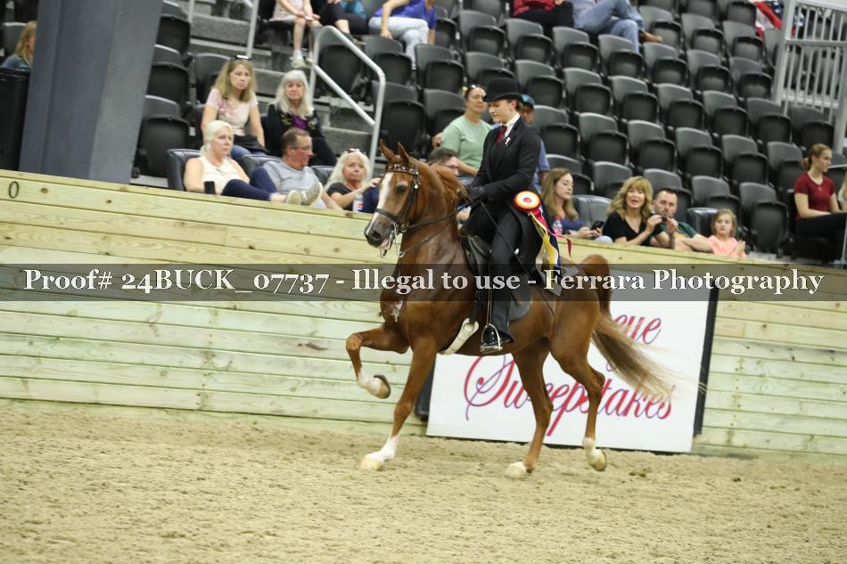 Proof 24BUCK_07737