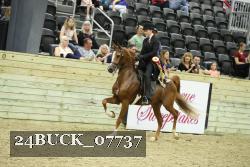 24BUCK_07737 proof