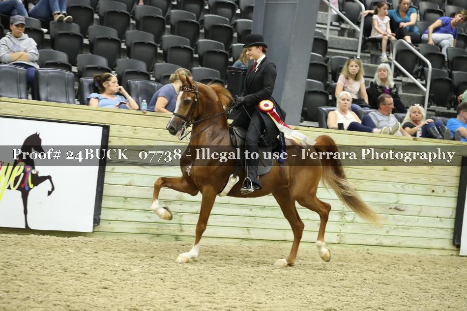 Proof 24BUCK_07738