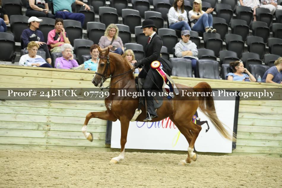 Proof 24BUCK_07739