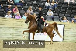 24BUCK_07739 proof